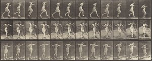 Planche numéro 175. Traversée du ruisseau sur des pierres avec une canne à pêche - Eadweard Muybridge