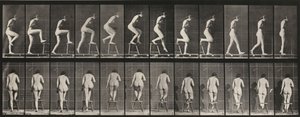  - Eadweard Muybridge