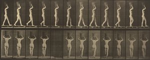 Planche numéro 34. Marcher et porter un panier de 15 lb sur la tête, mains levées - Eadweard Muybridge
