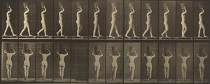  - Eadweard Muybridge