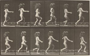 Numéro de plaque 469. Enfant courant - Eadweard Muybridge