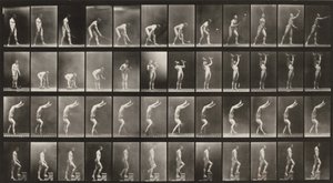  - Eadweard Muybridge