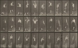Numéro de plaque 504. Escaliers ascendants et descendants - Eadweard Muybridge