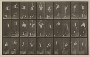 Planche numéro 504. Escaliers montants et descendants - Eadweard Muybridge