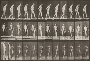  - Eadweard Muybridge
