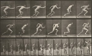  - Eadweard Muybridge