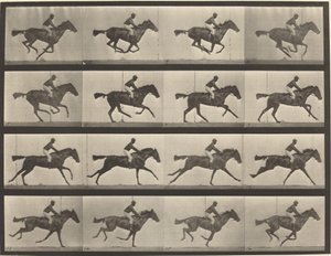 Planche numéro 626. Galop, jument baie pur-sang, Annie G.