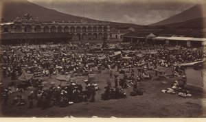 Plaza et palais du vice-roi-Antigua de Guatemala, 1877 (photo)