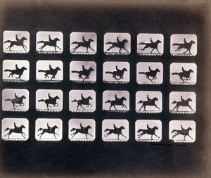 Course (Galop) par Eadweard J. Muybridge - Eadweard Muybridge