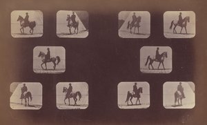 Études de raccourcis. Chevaux. Marche. Mahomet. Nos. 119-120 - Eadweard Muybridge