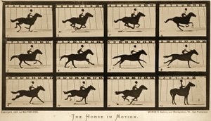 Le cheval en mouvement, série 