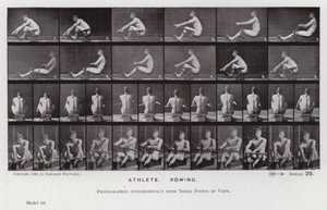 La figure humaine en mouvement : Athlète, ramant - Eadweard Muybridge
