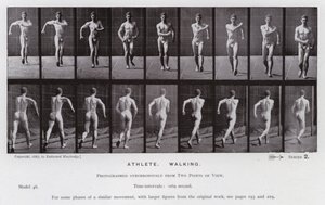 La figure humaine en mouvement : Athlète, marchant - Eadweard Muybridge