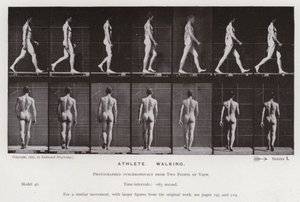 La figure humaine en mouvement : Athlète, marchant - Eadweard Muybridge