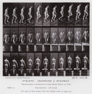 La Figure Humaine en Mouvement : Athlète, monter un escalier - Eadweard Muybridge