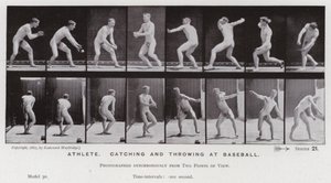La Figure Humaine en Mouvement : Athlète, attraper et lancer au baseball - Eadweard Muybridge