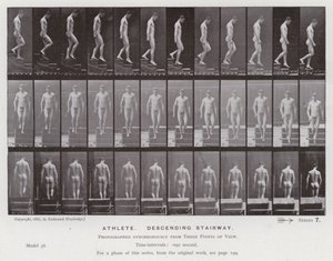 La figure humaine en mouvement : Athlète descendant un escalier - Eadweard Muybridge