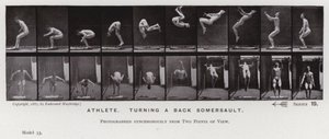 La figure humaine en mouvement : Athlète faisant un saut périlleux arrière - Eadweard Muybridge
