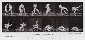 La figure humaine en mouvement : Athlètes, lutteurs - Eadweard Muybridge