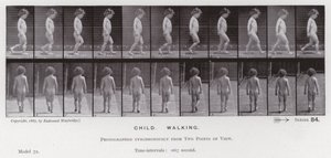 La figure humaine en mouvement : Enfant, marchant - Eadweard Muybridge