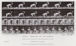 La Figure humaine en mouvement : Enfant, rampant sur le sol - Eadweard Muybridge