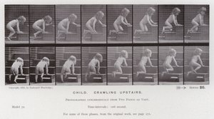 La figure humaine en mouvement : Enfant, rampant dans les escaliers - Eadweard Muybridge