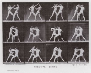 La figure humaine en mouvement : Pugilistes, boxe (photo n/b) - Eadweard Muybridge