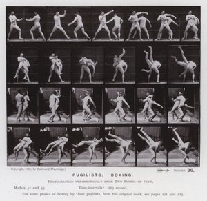 La Figure Humaine en Mouvement : Pugilistes, Boxe - Eadweard Muybridge