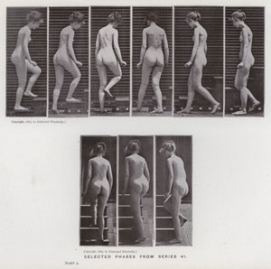La figure humaine en mouvement : Phases sélectionnées de la série 41 - Eadweard Muybridge