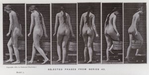 La figure humaine en mouvement : Phases sélectionnées de la série 42 - Eadweard Muybridge