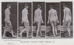 La Figure Humaine en Mouvement : Phases sélectionnées de la série 43 - Eadweard Muybridge