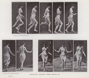 La figure humaine en mouvement : Phases sélectionnées de la série 53 - Eadweard Muybridge