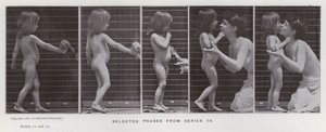 La figure humaine en mouvement : Phases sélectionnées de la série 79 - Eadweard Muybridge