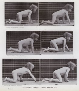 La figure humaine en mouvement : Phases sélectionnées de la série 83 - Eadweard Muybridge