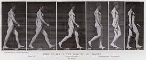 La Figure Humaine en Mouvement : Quelques phases de la marche d