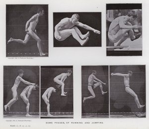 La figure humaine en mouvement : Quelques phases de course et de saut - Eadweard Muybridge