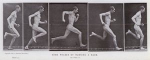 La figure humaine en mouvement : Quelques phases de course - Eadweard Muybridge