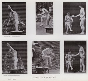 La Figure Humaine en Mouvement : Divers actes de mouvement - Eadweard Muybridge