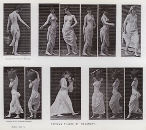 La figure humaine en mouvement : Diverses phases de mouvement - Eadweard Muybridge