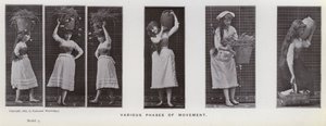 La Figure Humaine en Mouvement : Diverses phases de mouvement - Eadweard Muybridge