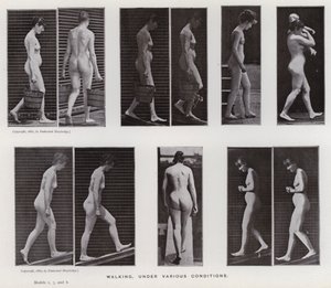 La figure humaine en mouvement : Marche, sous diverses conditions - Eadweard Muybridge