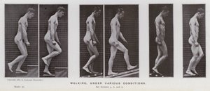 La figure humaine en mouvement : Marche, sous diverses conditions - Eadweard Muybridge