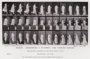 La figure humaine en mouvement : Femme, descendant un escalier et tournant (photo n/b) - Eadweard Muybridge