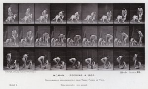 La Figure Humaine en Mouvement : Femme, nourrir un chien - Eadweard Muybridge