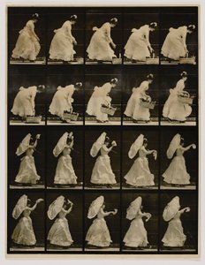 Femme soulevant un panier et agitant un mouchoir, extrait du livre Animal Locomotion - Eadweard Muybridge
