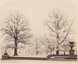 Givre, une scène de parc - Earl of Caithness