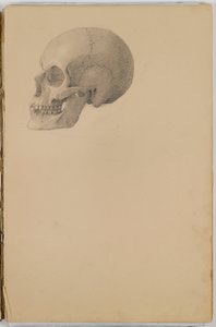 Carnet de croquis anatomiques, 1849