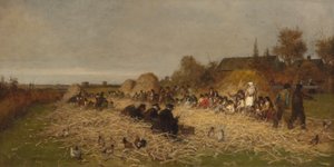 Épluchage de maïs, île de Nantucket