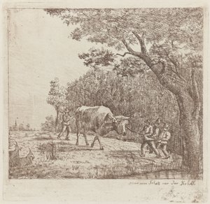 Quatre hommes et un taureau - Eberhard Cornelis Rahms