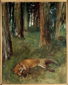 Renard mort dans un bois